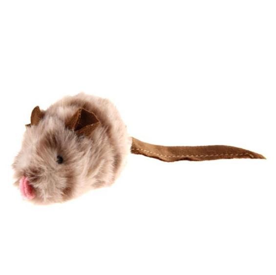 Guinea Pig