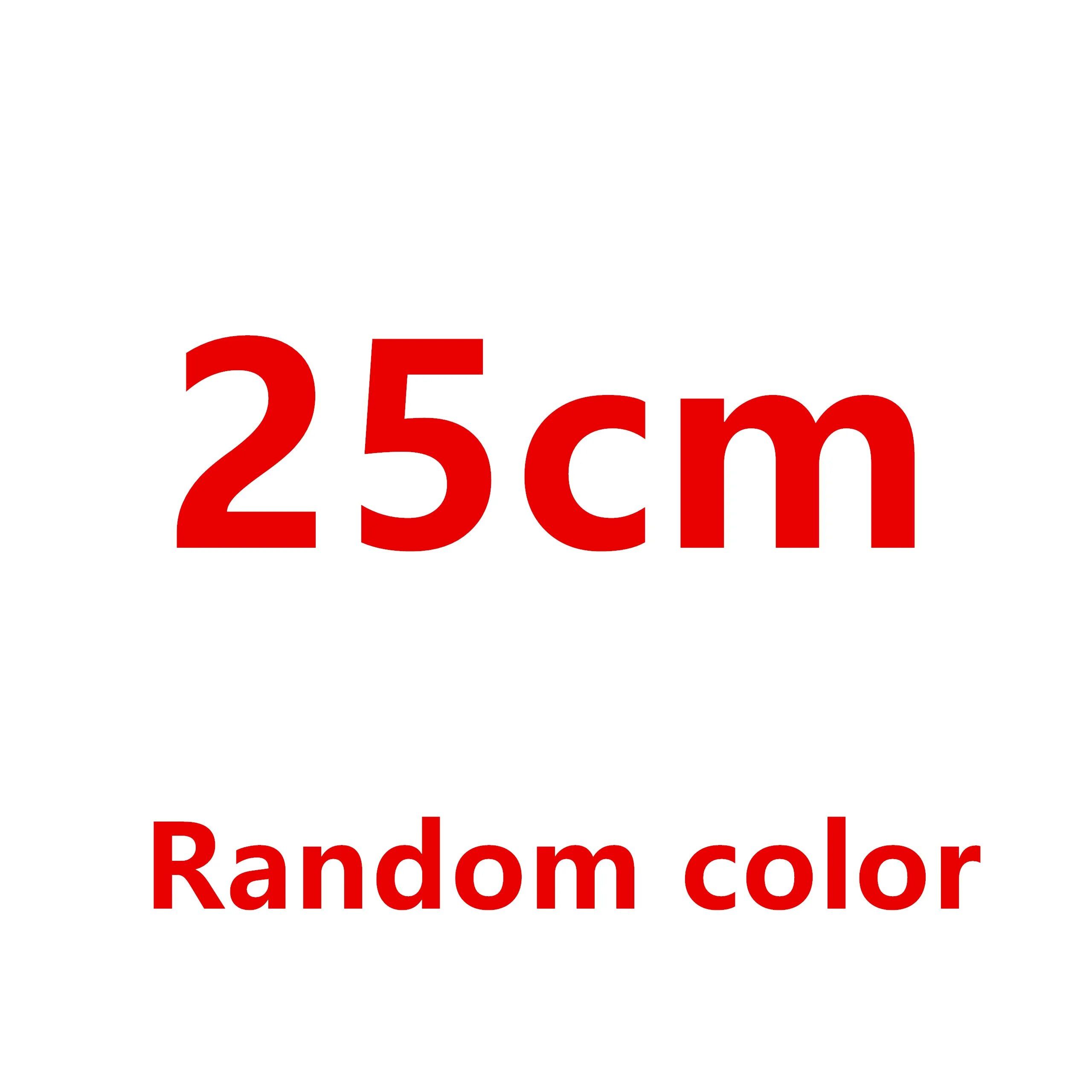 25CM